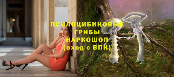 apvp Алексин